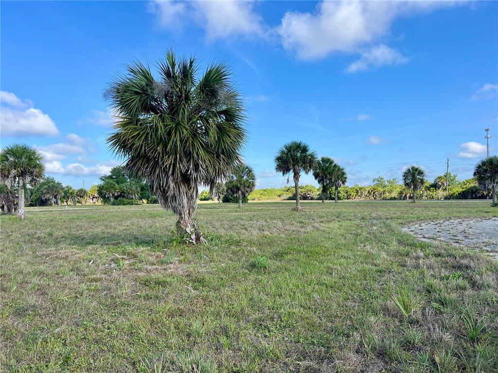 13 Mango Court Placida, FL 33946 - Photo 11 of 20