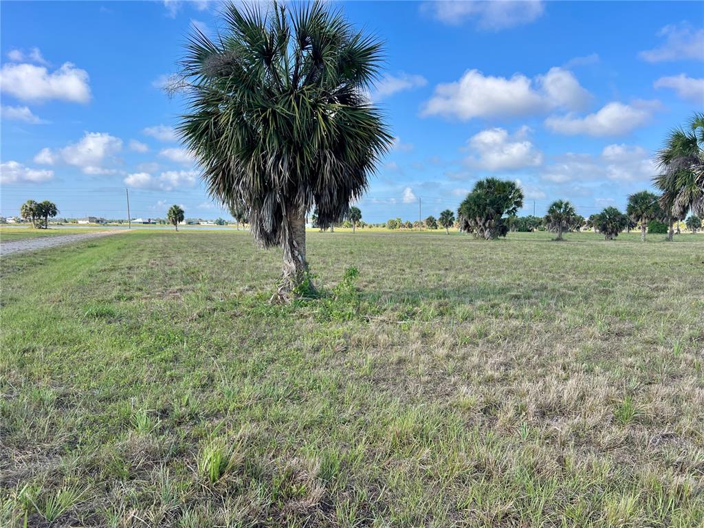 13 Mango Court Placida, FL 33946 - Photo 12 of 20