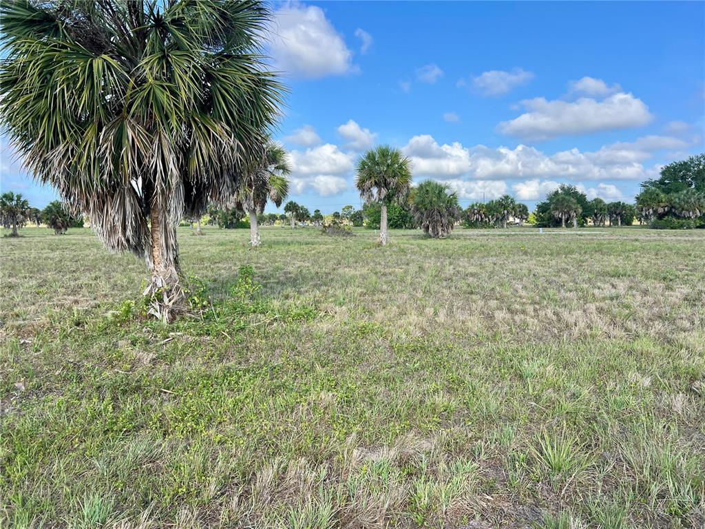 13 Mango Court Placida, FL 33946 - Photo 13 of 20