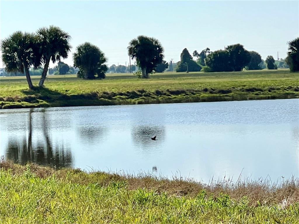 13 Mango Court Placida, FL 33946 - Photo 20 of 20
