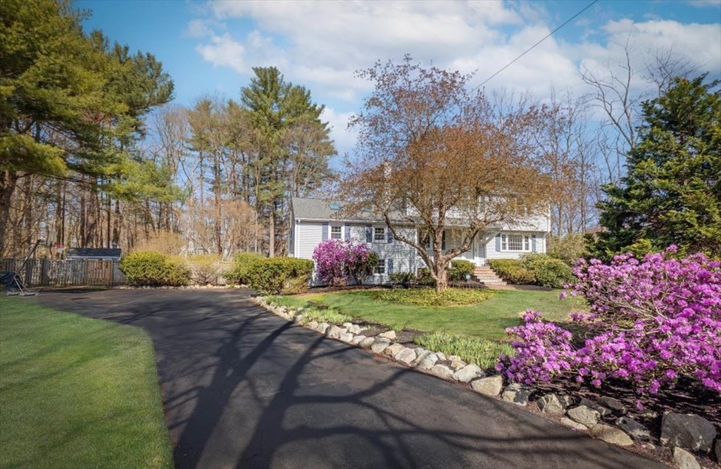 26 Stanford Drive Hingham, MA 02043 - Photo 3 of 37 a small garden covered with tall trees