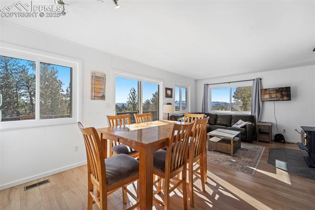 112 Needle Creek Road Divide, CO 80814 - Photo 15 of 27 Gallery Image 15