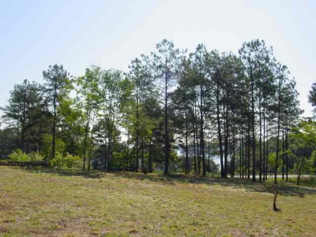 Lot 13 Johnson Cove Road Seneca, SC 29672 - Photo 1 of 2 Gallery Image 1