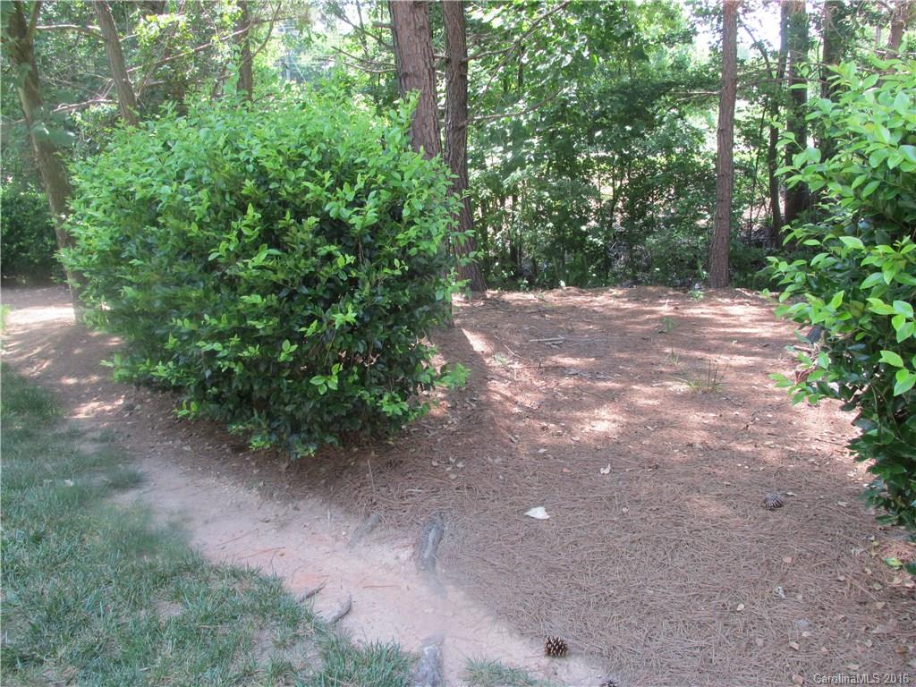 216 Butler Place, Unit 2103 Fort Mill, SC 29715 - Photo 3 of 17 Gallery Image 3