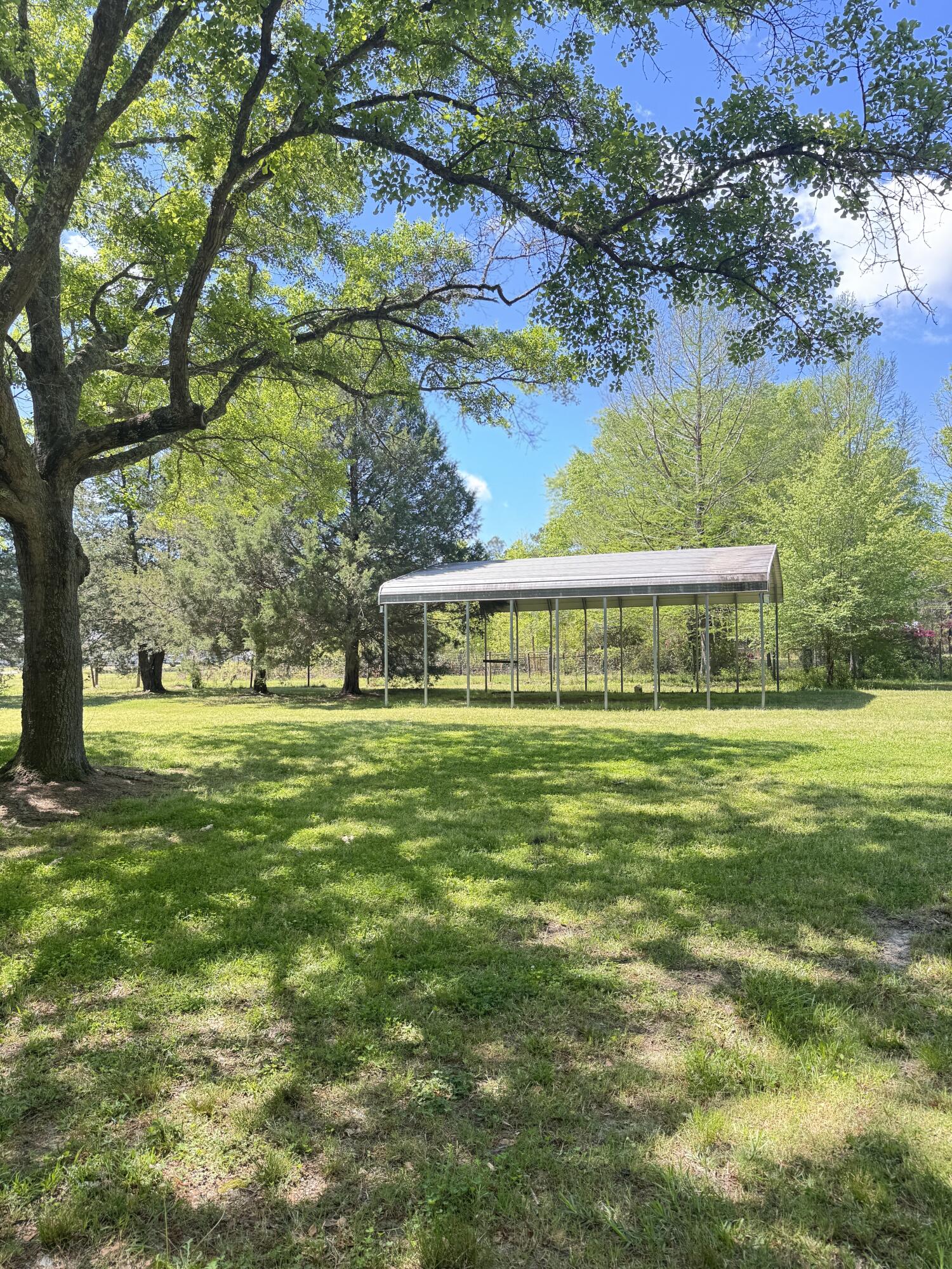 1425 Risher Mountain Road Walterboro, SC 29488 - Photo 18 of 70 1425 Risher Mountain Road (41)