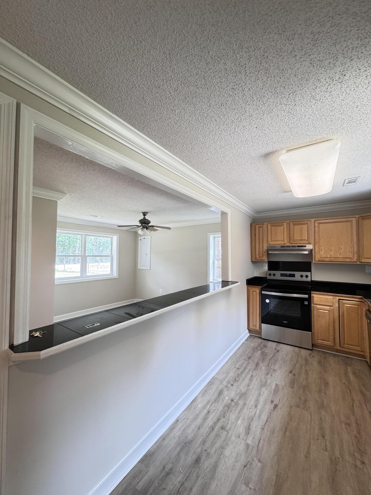1425 Risher Mountain Road Walterboro, SC 29488 - Photo 45 of 70 1425 Risher Mountain Rd. (46)