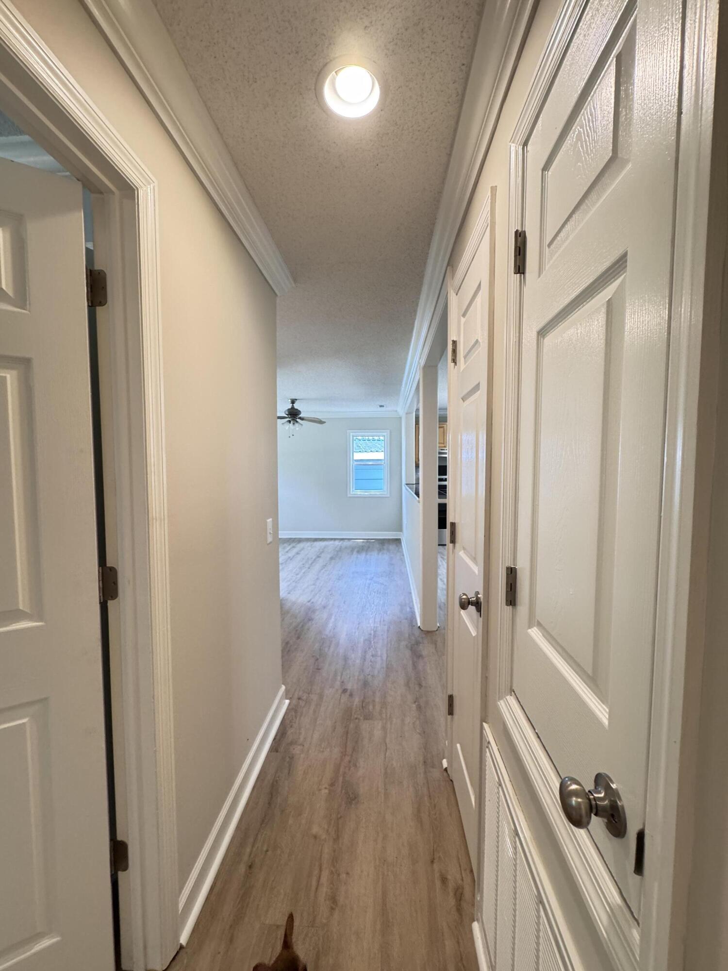 1425 Risher Mountain Road Walterboro, SC 29488 - Photo 54 of 70 1425 Risher Mountain Rd. (7)