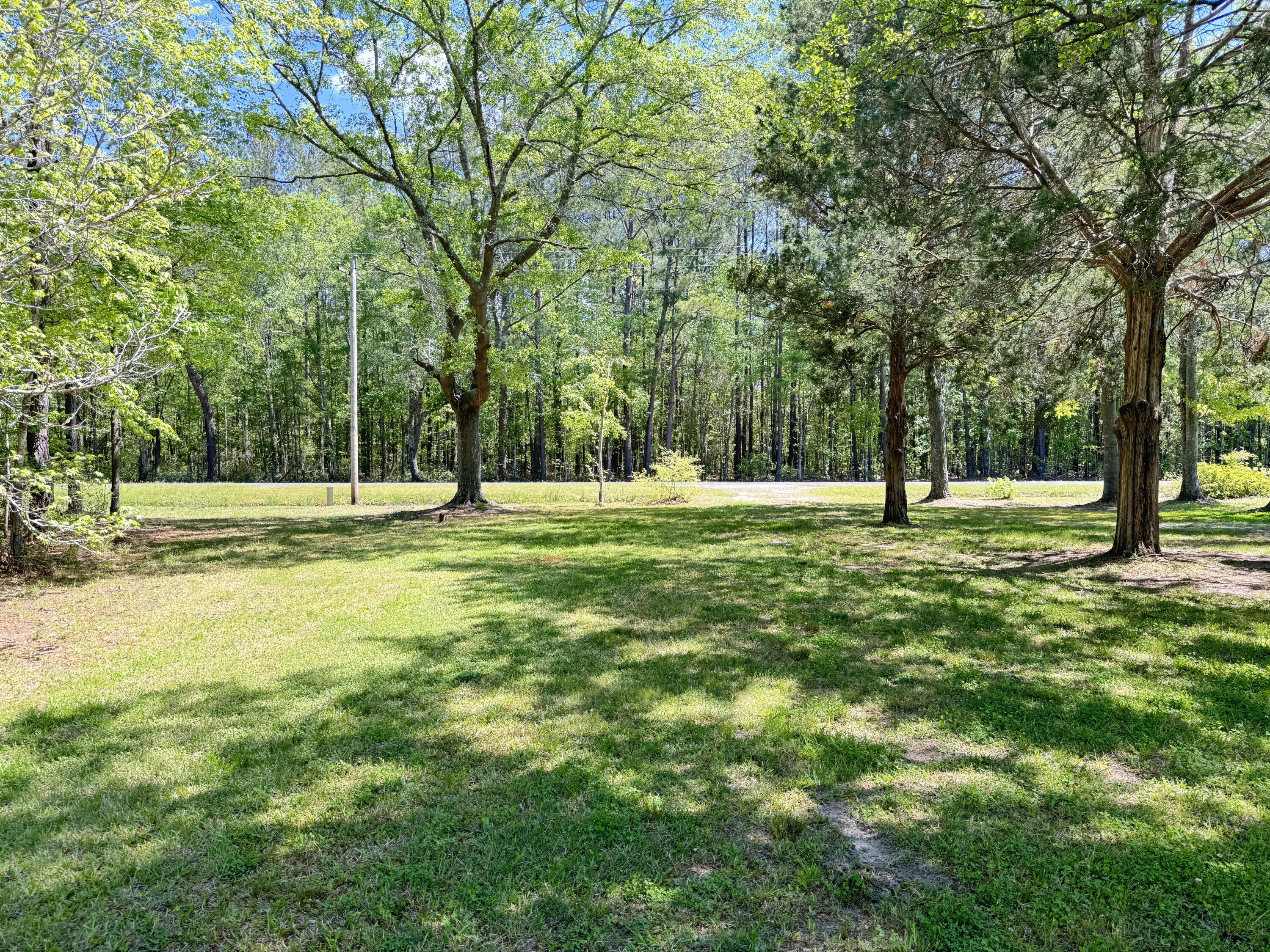 1425 Risher Mountain Road Walterboro, SC 29488 - Photo 10 of 70 1425 Risher Mountain Road (51)