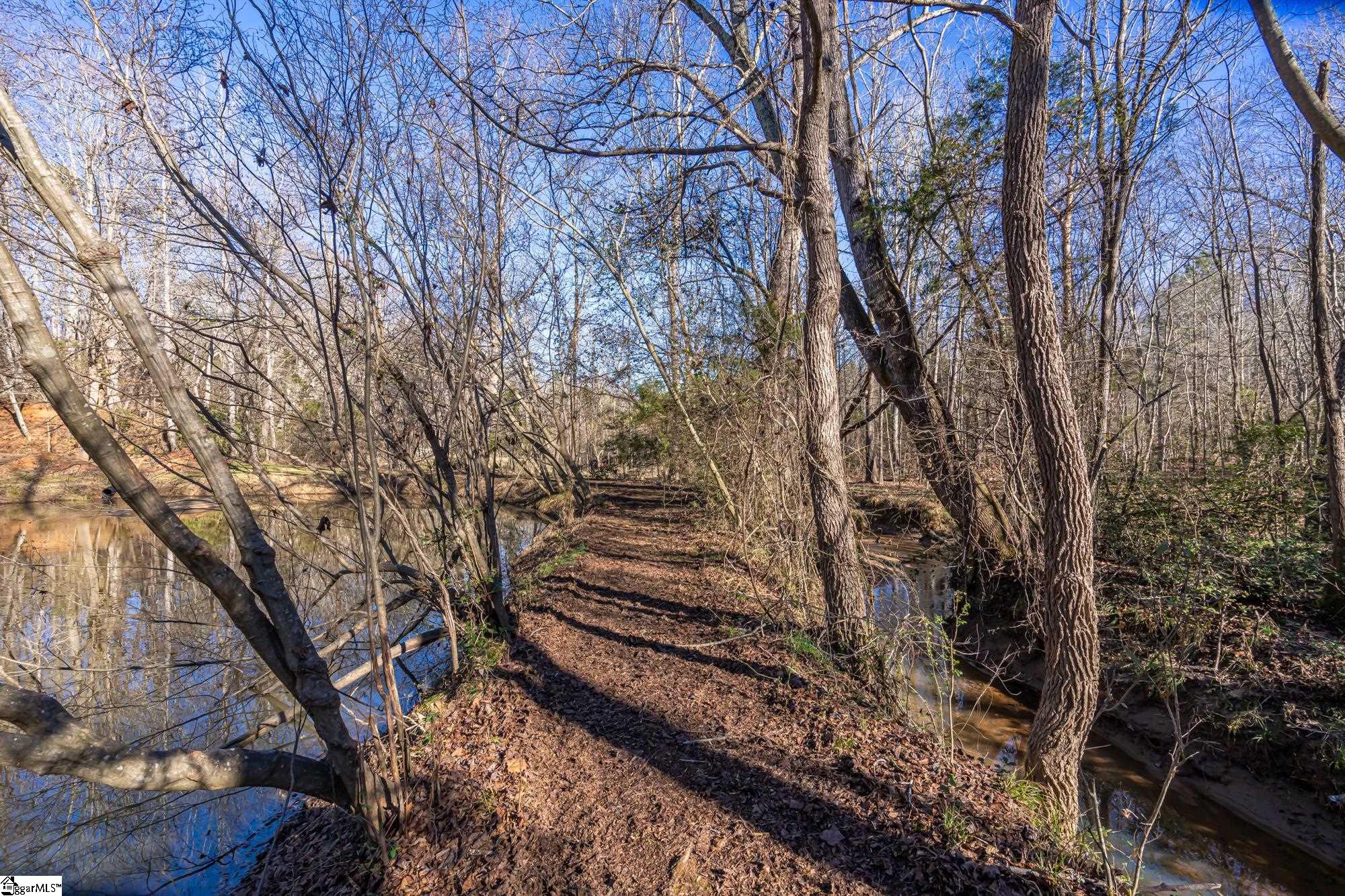 121 Old Bessie Road Piedmont, SC 29673 - Photo 7 of 25 Gallery Image 7