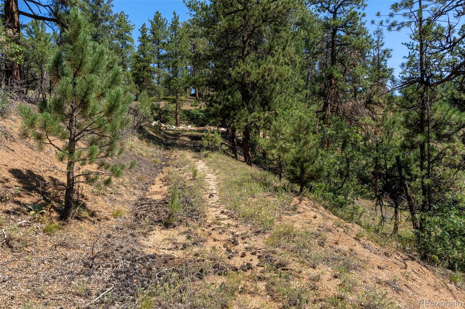 12511 West Tina Lane Sedalia, CO 80135 - Photo 14 of 22 a backyard of a house with lots of green space