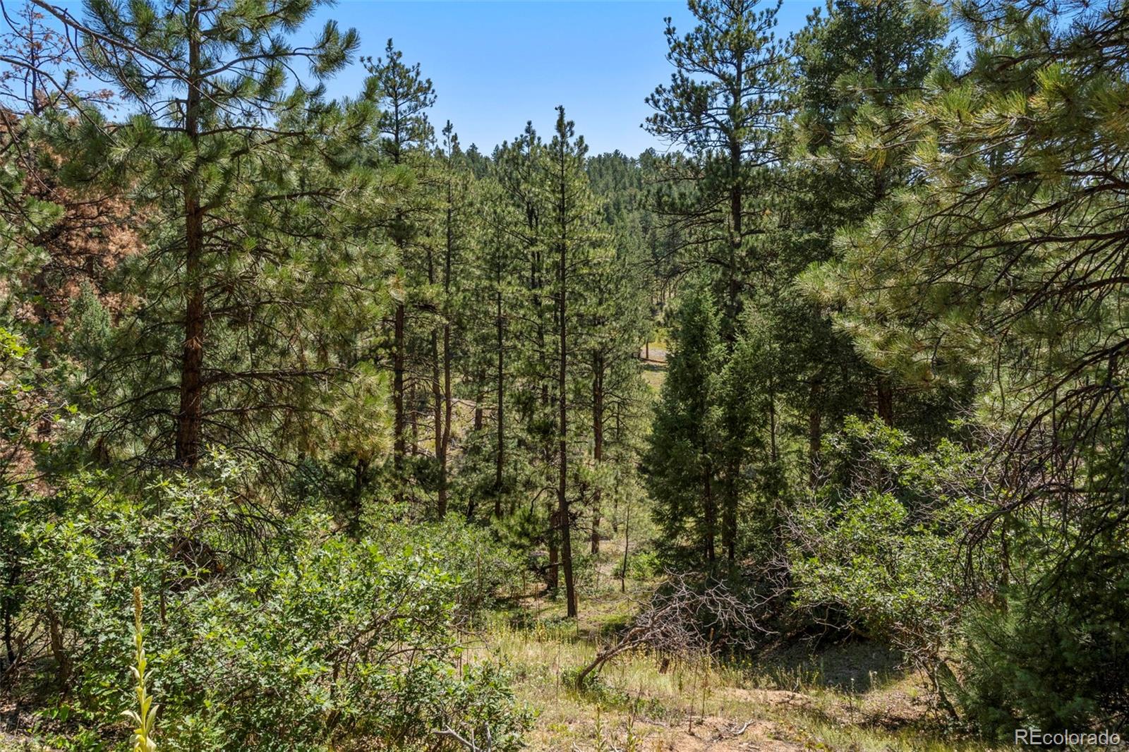 12511 West Tina Lane Sedalia, CO 80135 - Photo 20 of 22