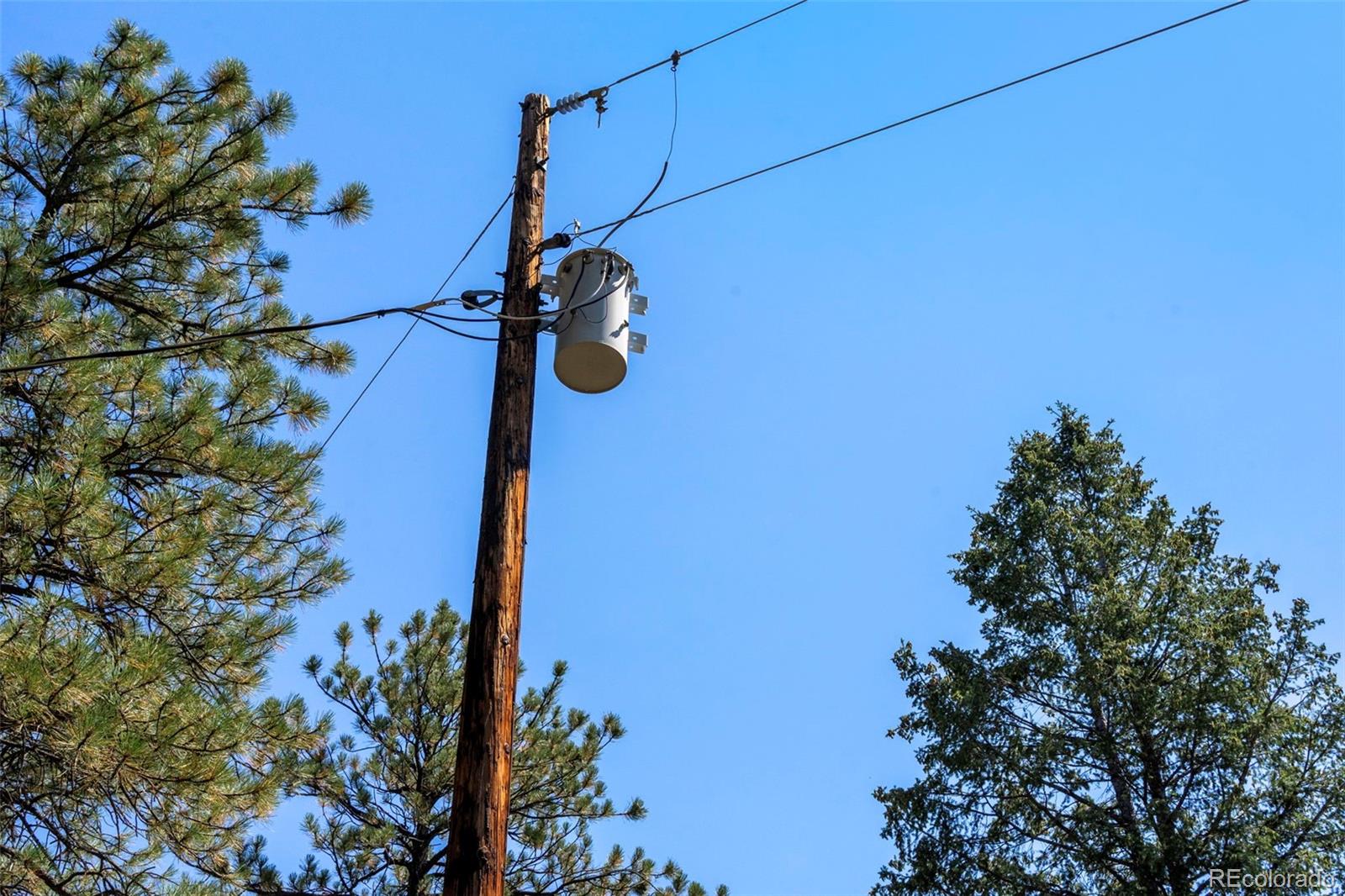 12511 West Tina Lane Sedalia, CO 80135 - Photo 21 of 22 a close up of a tree in a yard