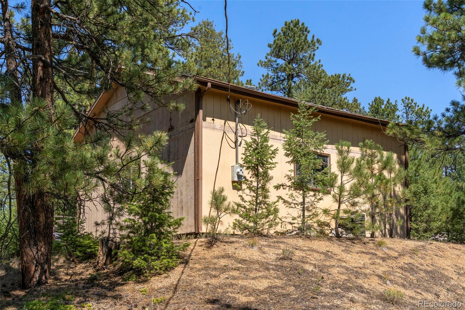 12511 West Tina Lane Sedalia, CO 80135 - Photo 22 of 22 a view of mountain with trees