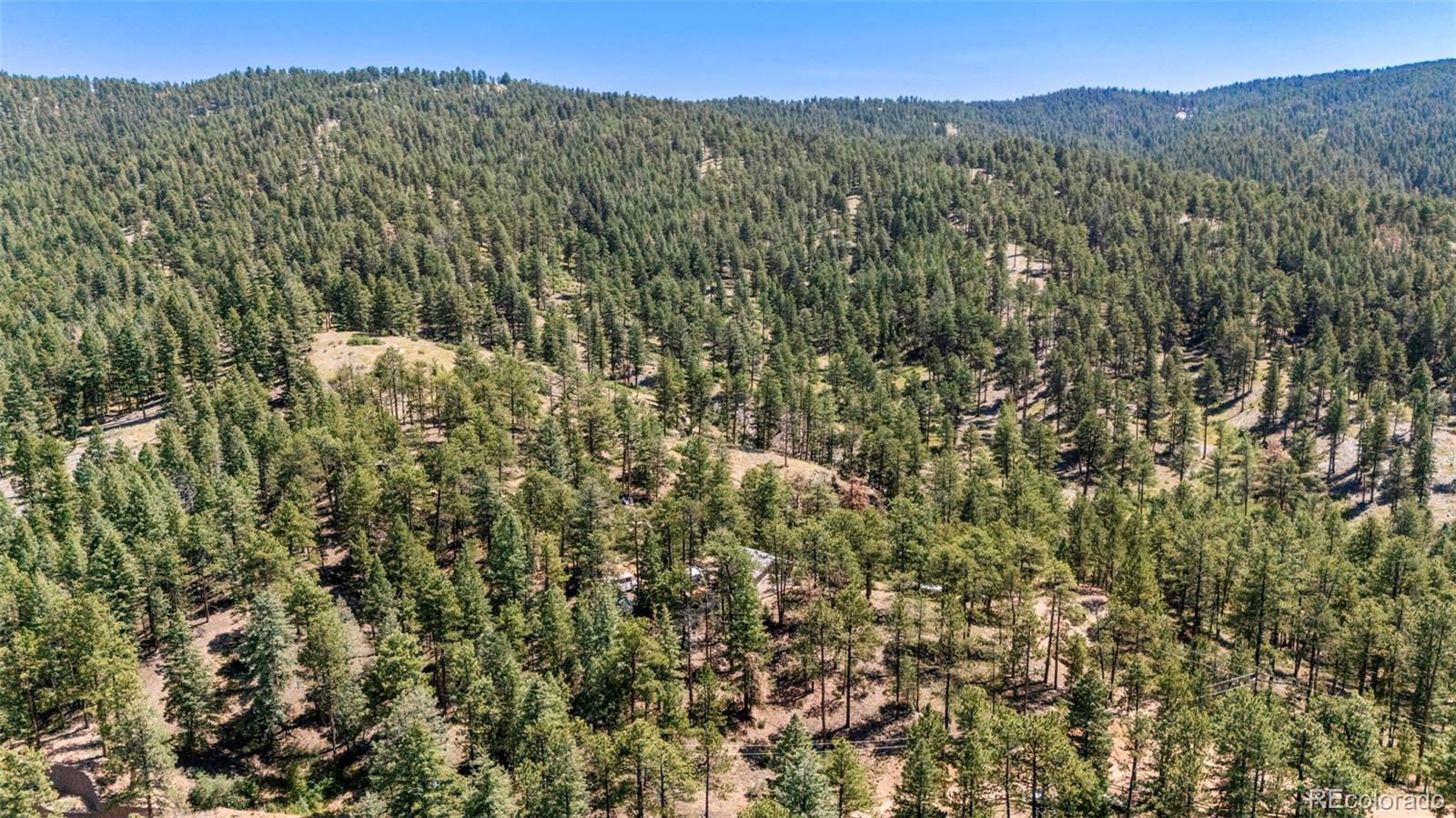 12511 West Tina Lane Sedalia, CO 80135 - Photo 9 of 22 a view of a forest with a mountain