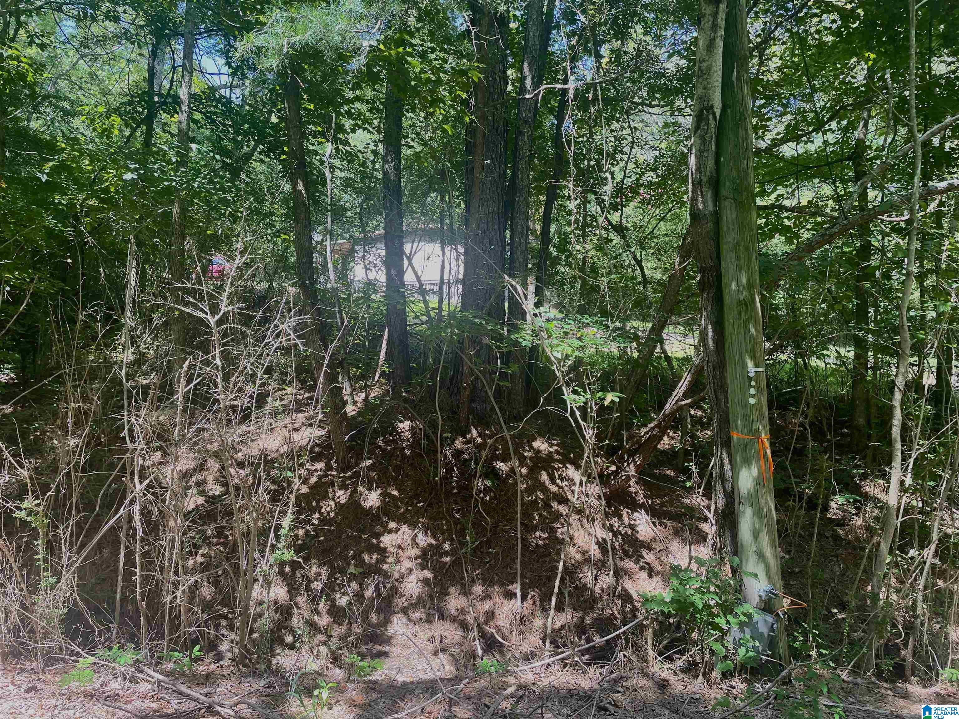6740 Tucker Brown Road, Unit 9 75 Pinson, AL 35126 - Photo 25 of 44