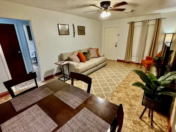 a living room with a rug and a potted plant