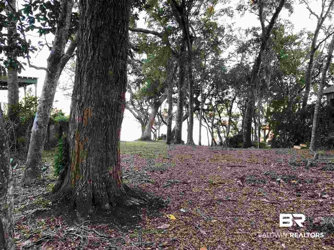 29104 Canal Road Orange Beach, AL 36561 - Photo 3 of 15