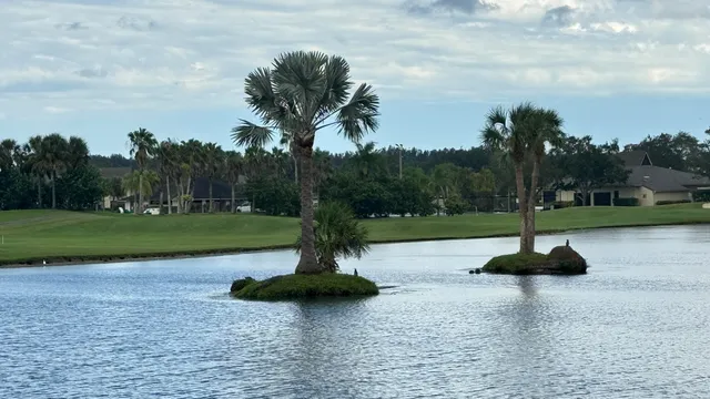 a view of a lake with houses in the background