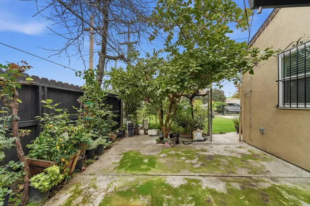 a view of a park with plants and large trees