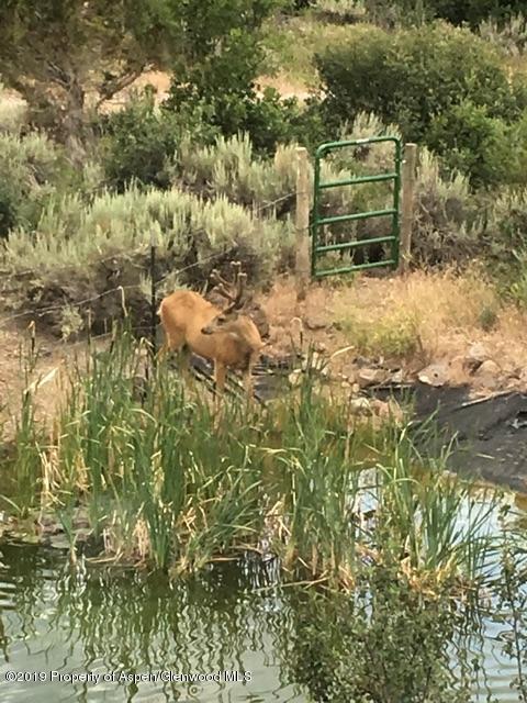 5480 Grass Mesa Road Rifle, CO 81650 - Photo 15 of 20 22