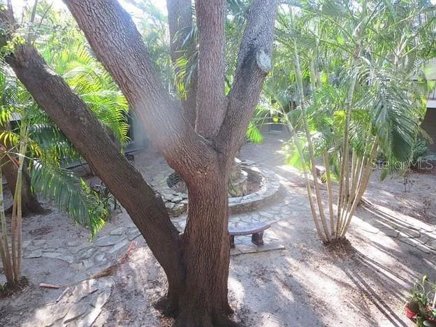 a backyard of a house with palm trees