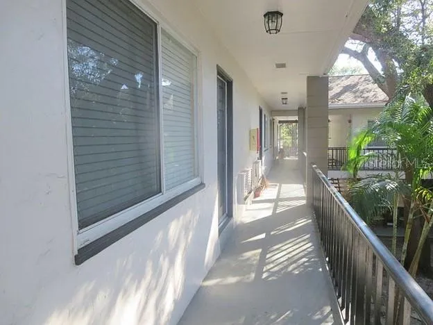 a palm tree sitting in front of a house with a yard