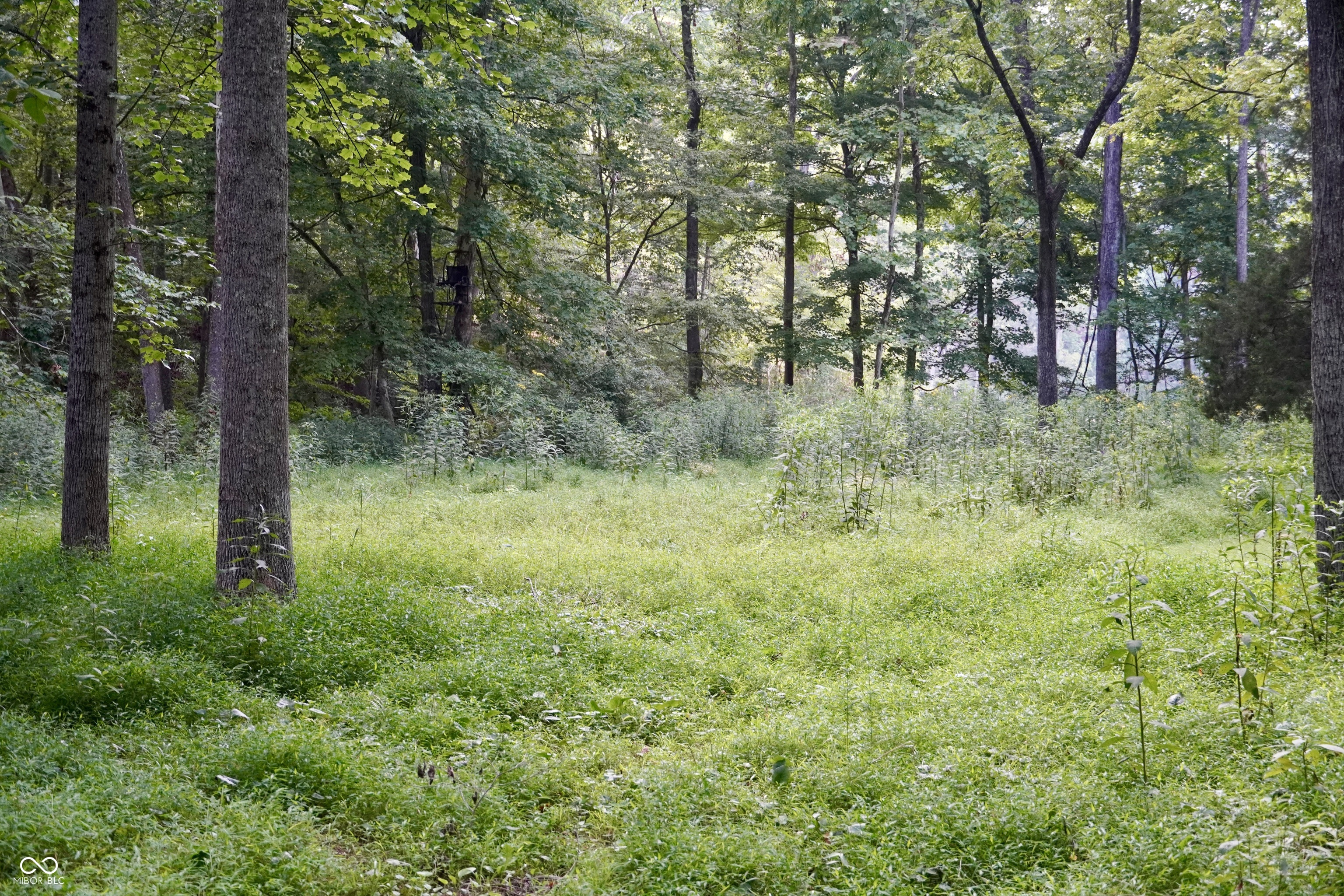 9830 Low Gap Road Martinsville, IN 46151 - Photo 159 of 192 Gallery Image 159