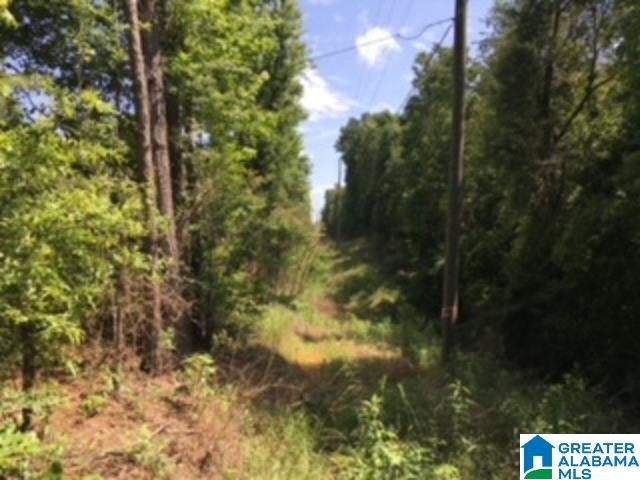 1850 Logan Martin Dam Road, Unit 1 Vincent, AL 35178 - Photo 3 of 4