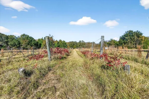 $585,000 | 1603 Vz County Road 2908, Eustace, TX 75124