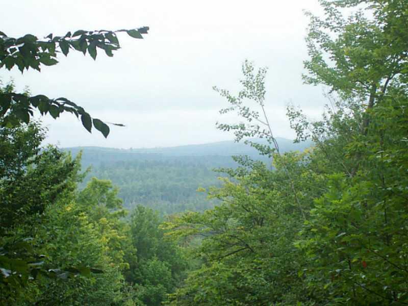 Lot 13 Arab Road Lee, ME 04455 - Photo 2 of 11 Land/Lot.