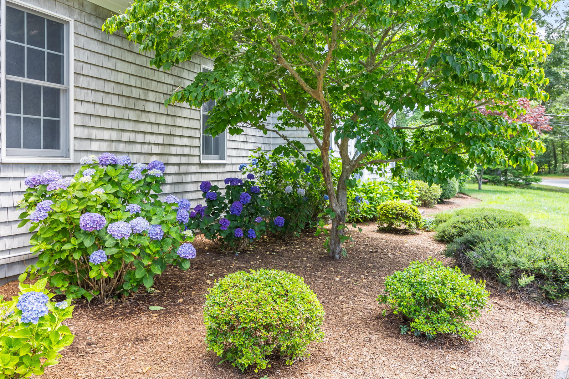 510 Hay Road Eastham, MA 02642 - Photo 25 of 34 a backyard of a house with a yard and outdoor seating