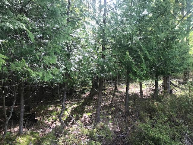 Lot 2 West Meadow Road Fish Creek, WI 54212 - Photo 22 of 40