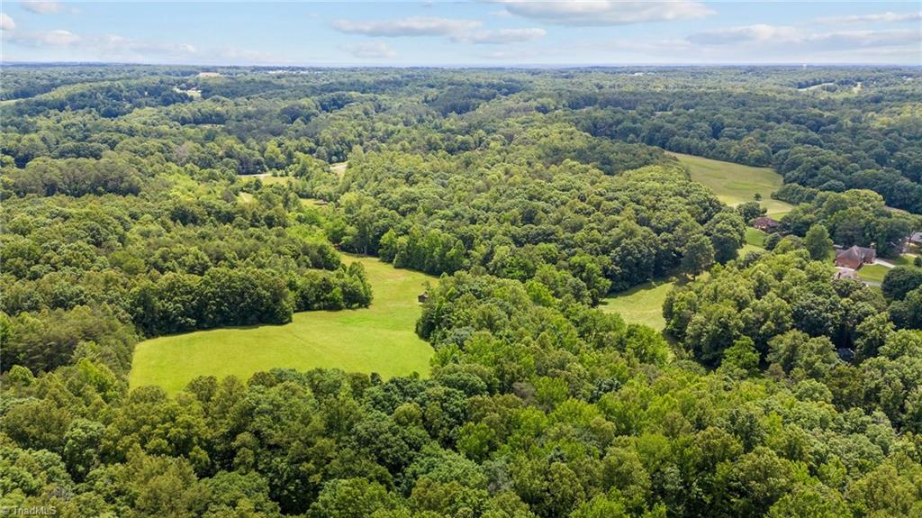 64 Thomas Farm Road King, NC 27021 - Photo 4 of 13