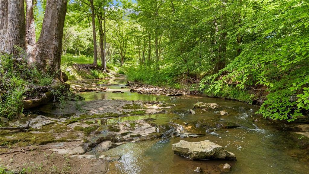 64 Thomas Farm Road King, NC 27021 - Photo 8 of 13