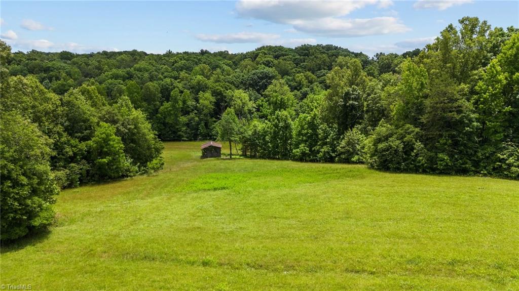 64 Thomas Farm Road King, NC 27021 - Photo 9 of 13