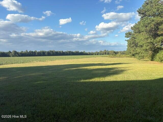 2127 Jim Taylor Road Robersonville, NC 27871 - Photo 5 of 8 2127 - rear yard