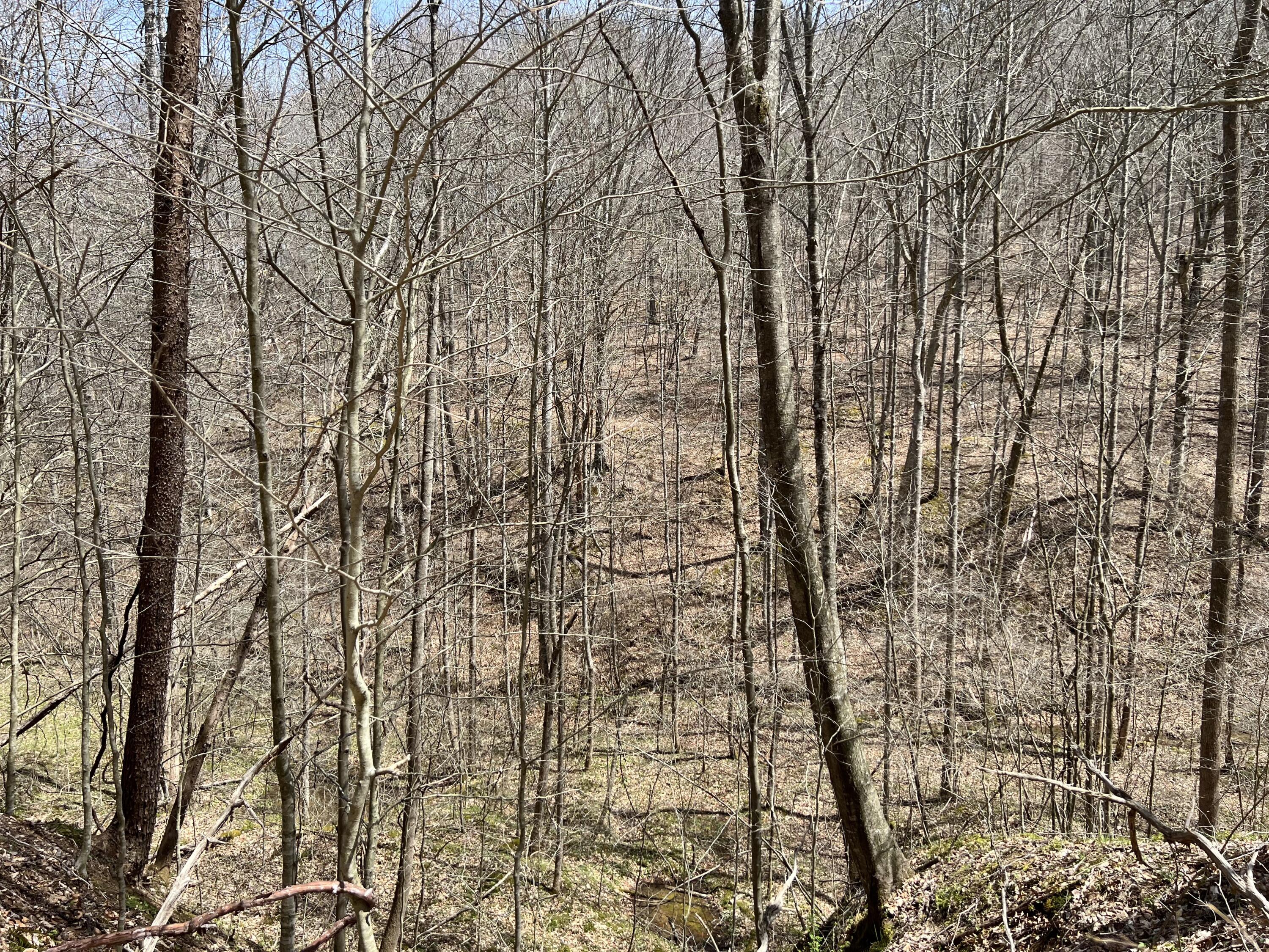 1800 South Tree Tower Road McKee, KY 40447 - Photo 24 of 32 IMG_1163