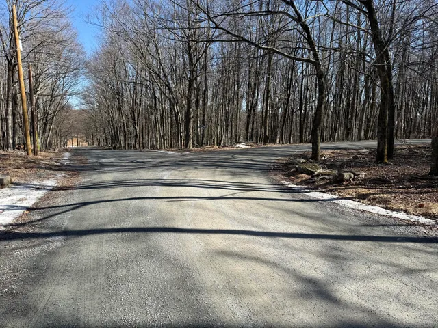 a view of a yard with large trees
