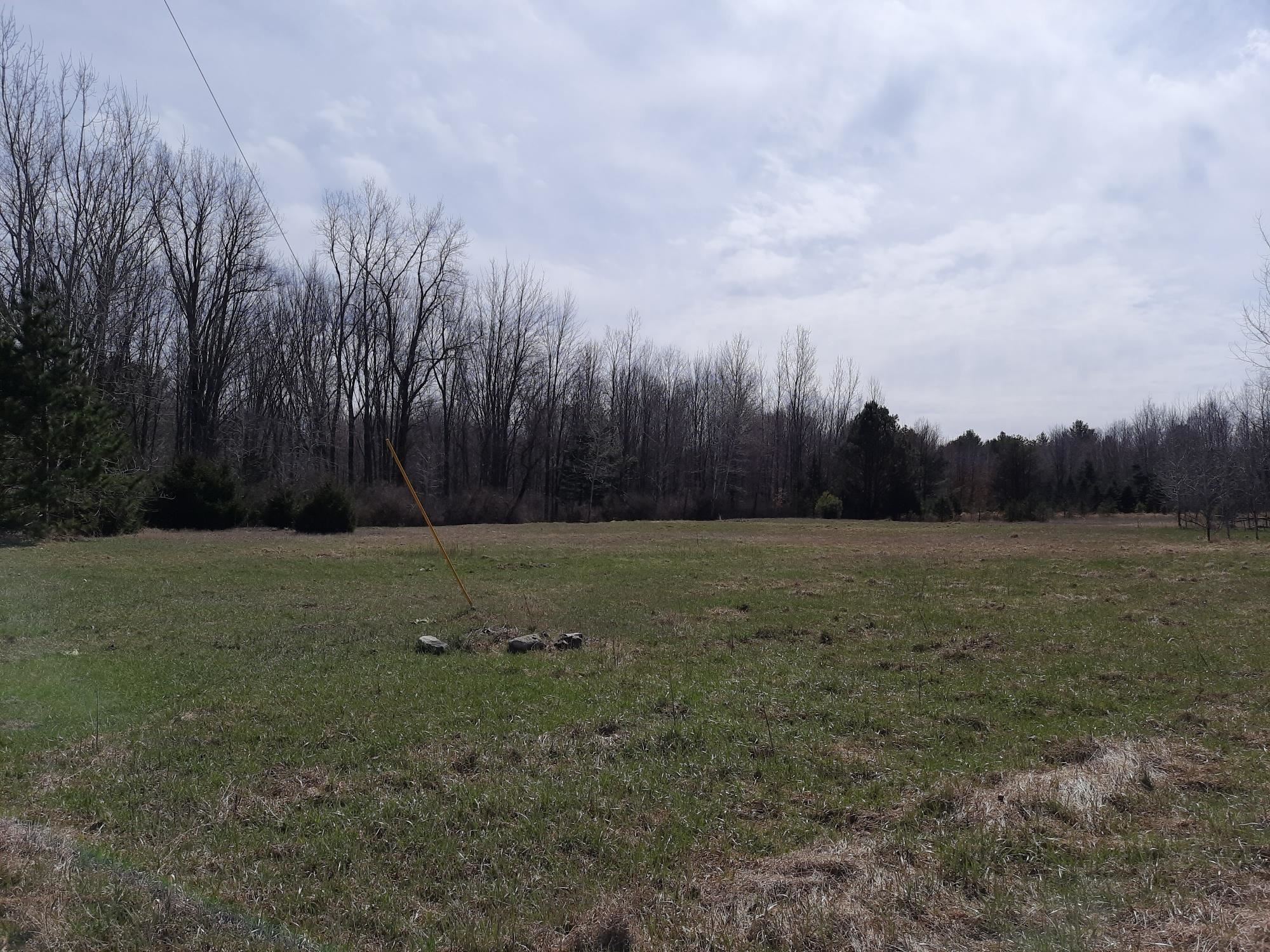 Vl State Road Millington, MI 48746 - Photo 3 of 7