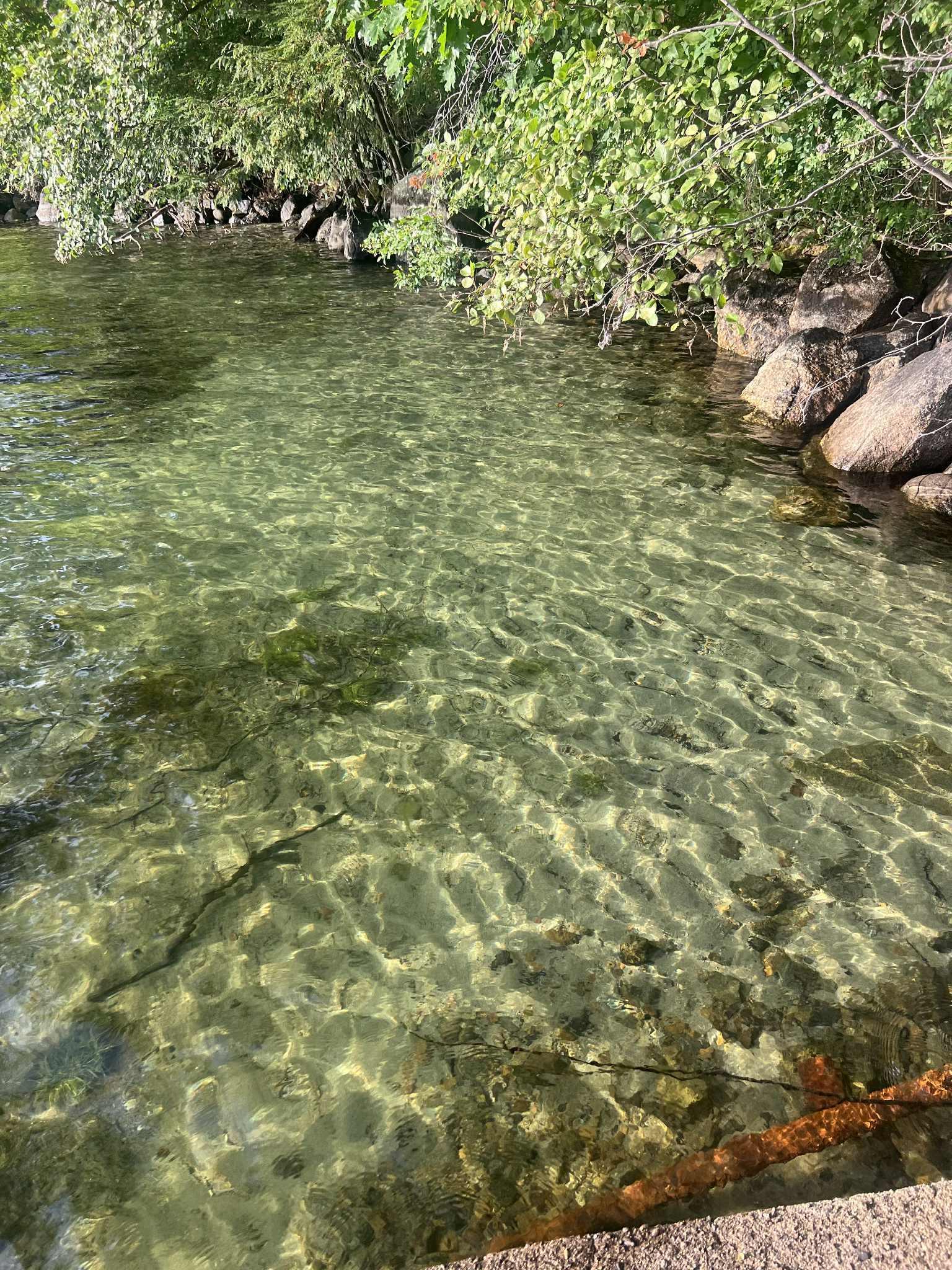 41 Happy Homes Road Meredith, NH 03253 - Photo 7 of 44