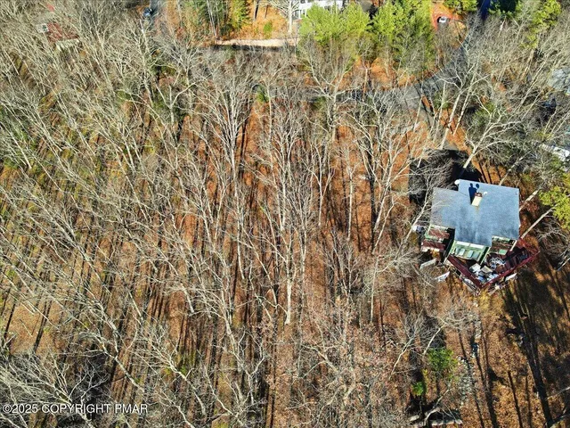 a view of a yard with trees