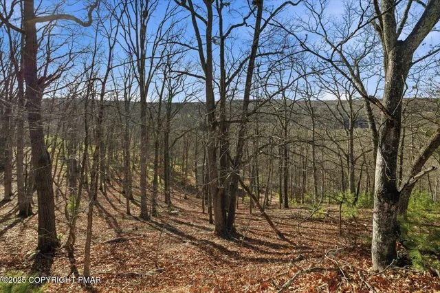 a picture of street view