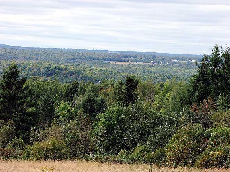 Lot 18 Thompson Settlement Road Oakfield, ME 04763 - Photo 13 of 19 Land.