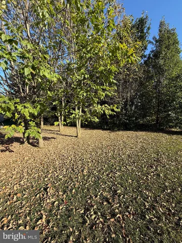 a view of outdoor space