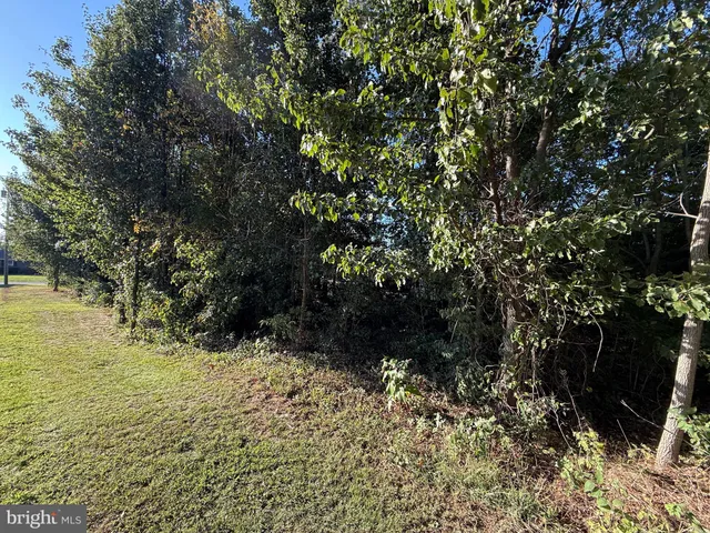 a view of outdoor space and a yard