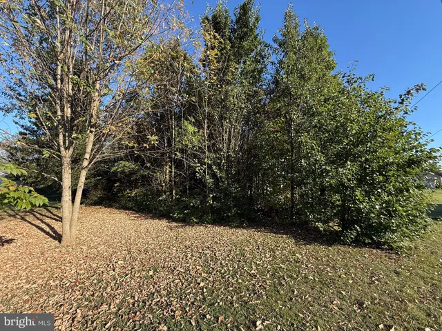 a view of outdoor space