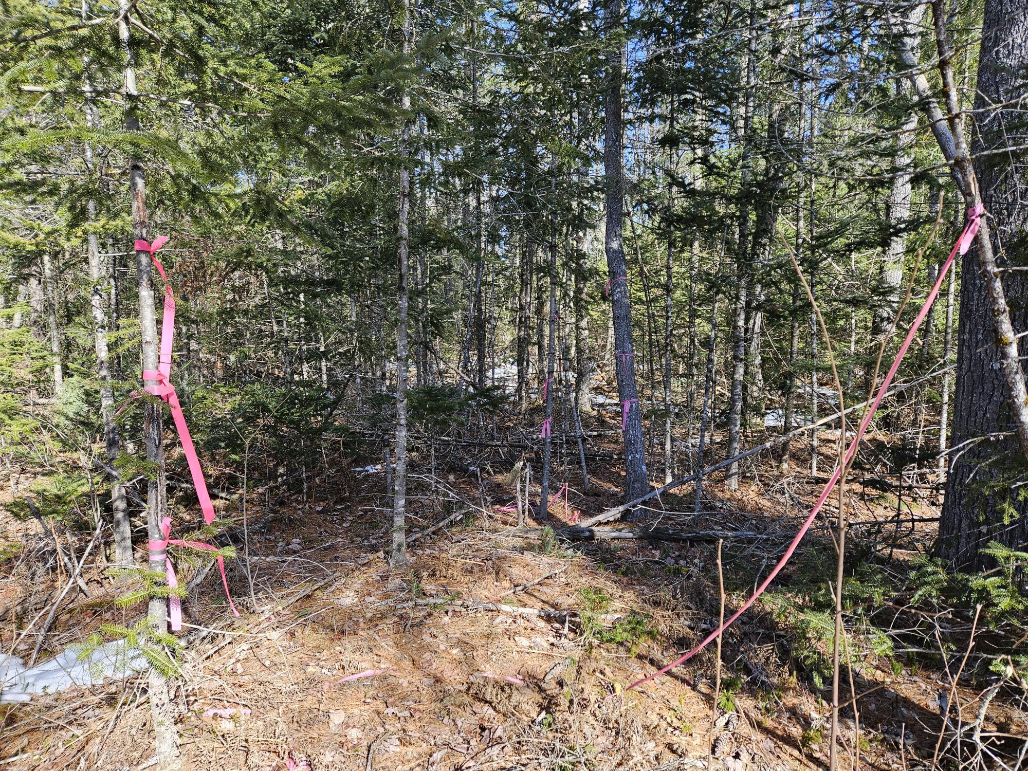 Lot 29-3 Basford Road Detroit, ME 04929 - Photo 17 of 26 Boundary line