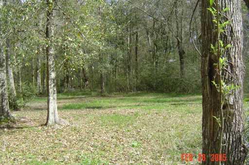43280 West Pleasant Ridge Road Hammond, LA 70403 - Photo 6 of 8 Gallery Image 6