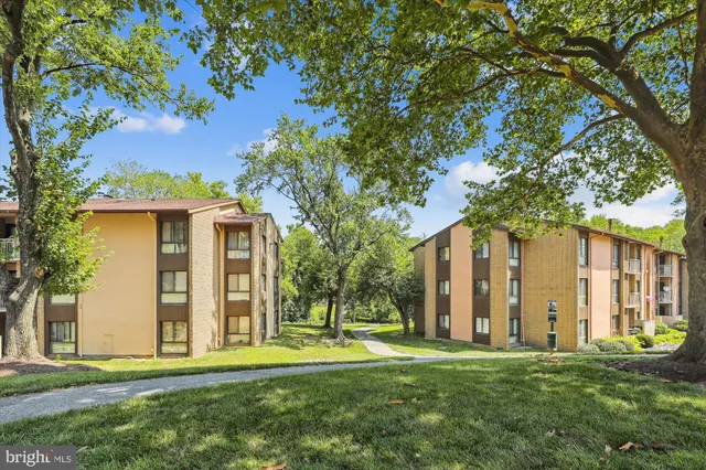 a swimming pool with lots of tress in the background