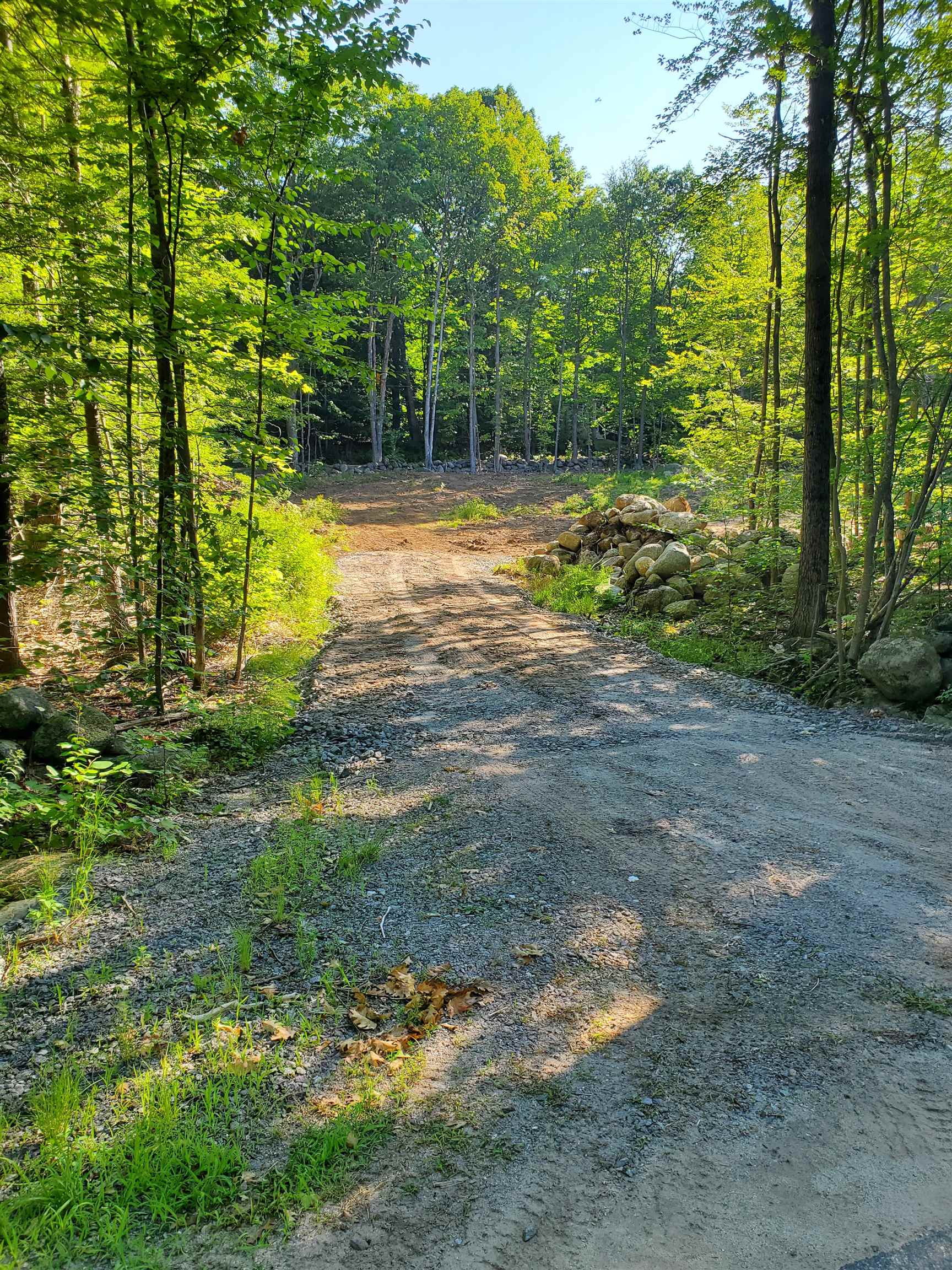 445 Old County Road North Deering, NH 03244 - Photo 2 of 6